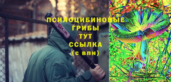 гидра Зеленокумск