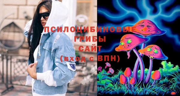 гидра Зеленокумск