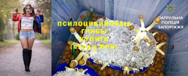 гидра Зеленокумск