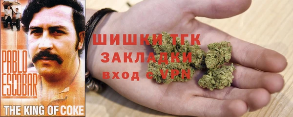гидра Зеленокумск