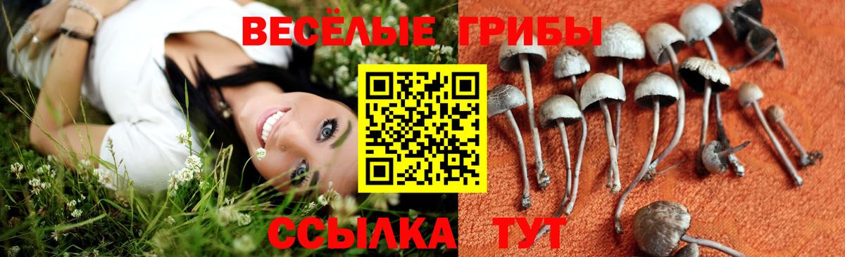 Псилоцибиновые грибы MAGIC MUSHROOMS Нарьян-Мар